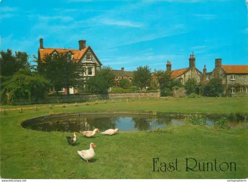 A5282 England East Runton rural scenery pond and ducks