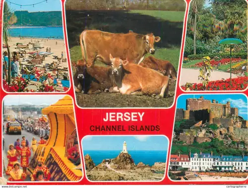 A5281 Channel Islands Jersey multi view