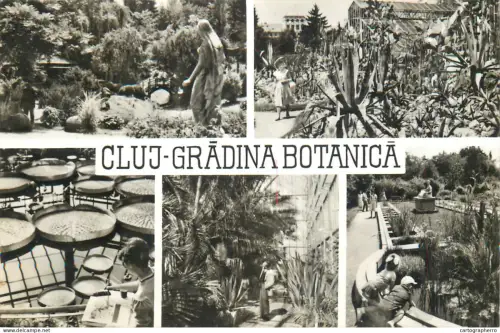 A5788 Romania Cluj botanical garden multi views