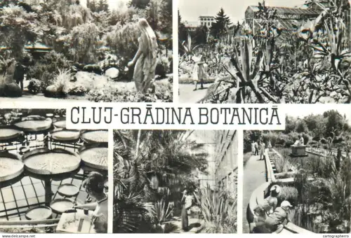 A5788 Romania Cluj gradina botanica multi views