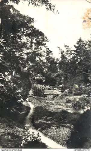 A5203 Romania Simeria parc dendrologic