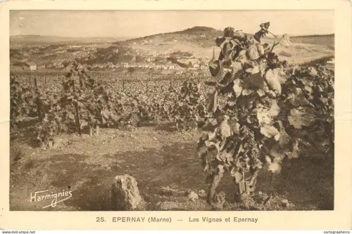 A5115 France carte postale avec défaut Epernay vignes