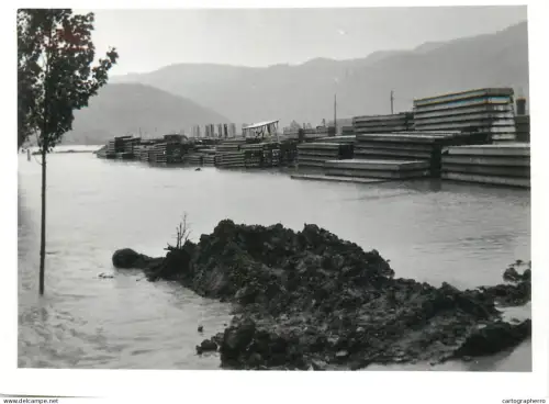 Romania flood disasters real photo (9 x 13 cm) inundatiile din Salaj 1970s