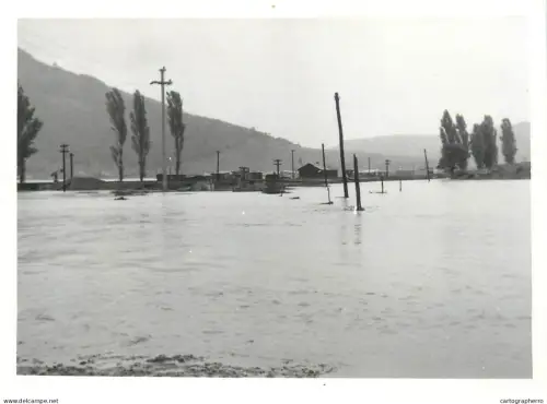 Romania flood disasters real photo (9 x 13 cm) inundatiile din Salaj 1970s