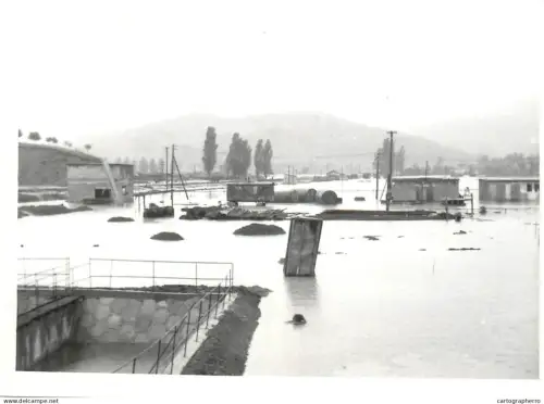 Romania flood disasters real photo (9 x 13 cm) inundatiile din Salaj 1970s