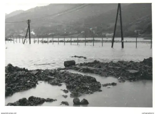 Romania flood disasters real photo (9 x 13 cm) inundatiile din Salaj 1970s