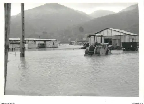 Romania flood disasters real photo (9 x 13 cm) inundatiile din Salaj 1970s