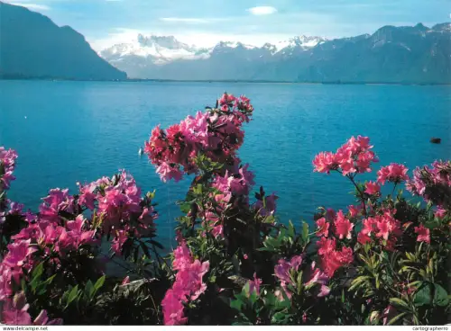 A5069 Schweiz Montreux Geneve lake