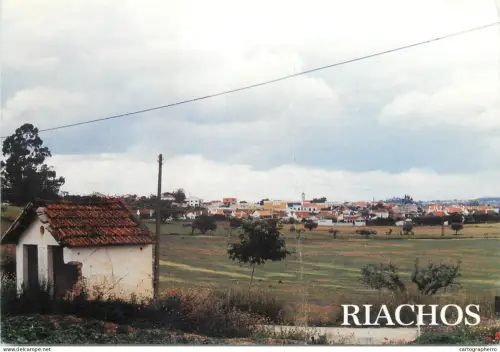 A5317 Portugal Riachos rural area