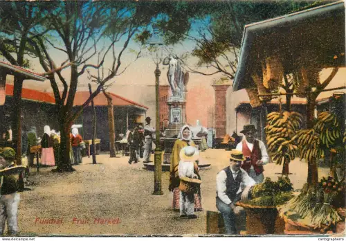 A5845 Madeira Funchal fruit market
