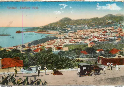 A5845 Madeira Funchal