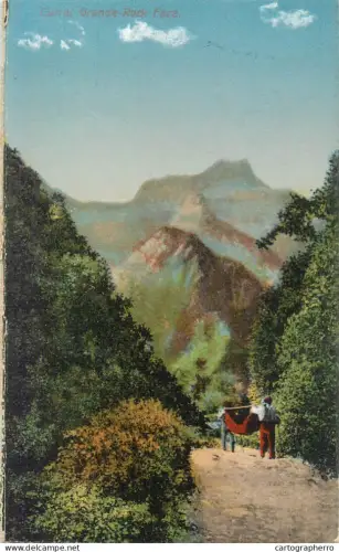 A5845 Madeira Curral