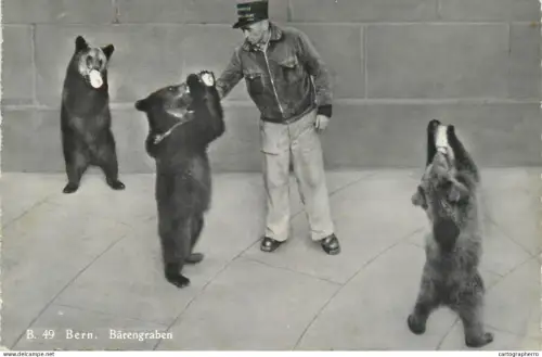 A5330 Switzerland Bern bear pit