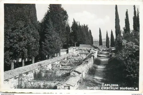 A5849 Croatia Krk Mogorilo