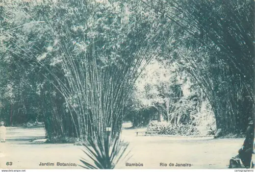 A5853 Brazil > Rio de Janeiro Jardim Botanico Bambus