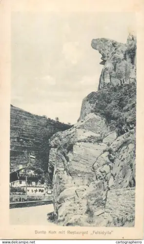 A5853 Bunte Kuh mit Restaurant Felsidylle