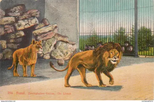 A5866 Basel zoo Lowen