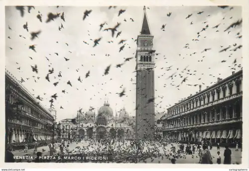 A5866 Venezia (Venice) St. Mark pigeons