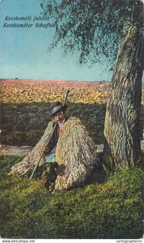 A5865 Kecskemet shepherd