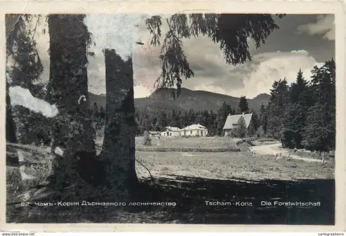 A5863 Bulgaria Tscham Koria