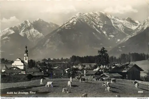 A5331 Austria Reith bei Brixlegg Tirol countryside area and cows
