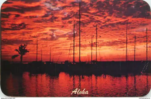 A5342 USA Hawaii Ala Wai yacht harbour sunset view