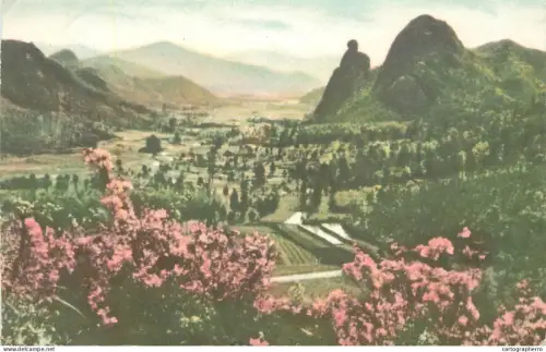 A5342 Landscape mountain scenery and alpine flowers place to identify