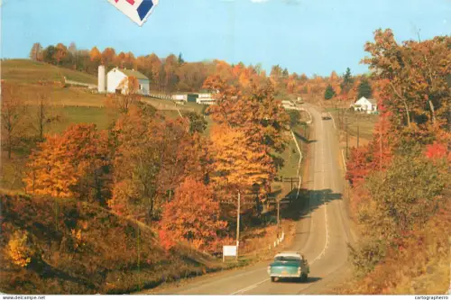 A5341 USA Pennsylvania winding pavement autumn colours
