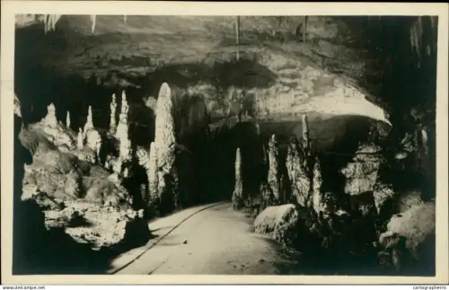 A5884 Grotte di Postumia presso Trieste