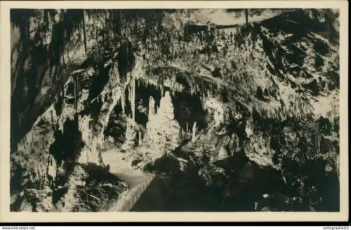 A5884 Grotte di Postumia presso Trieste