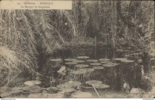 A5872 Senegal Rufisque le Marigot de Sangolcam