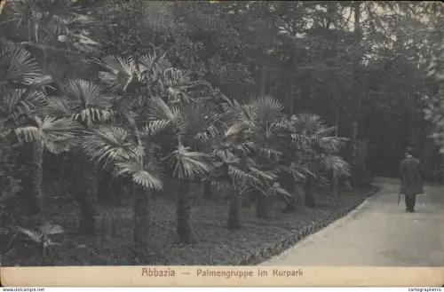 A5870 Abbazia palmengruppe im Kurpark