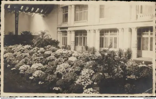 A5869 Gent floralies gantoises