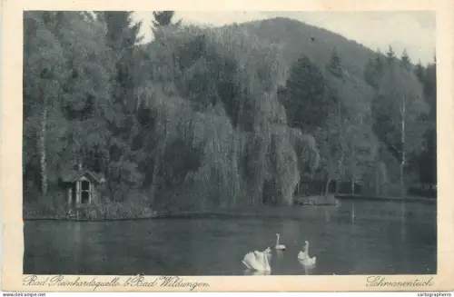 A5340 Germany Bad Rheinhardsquelle bei Bad Wildungen Schwanenteich