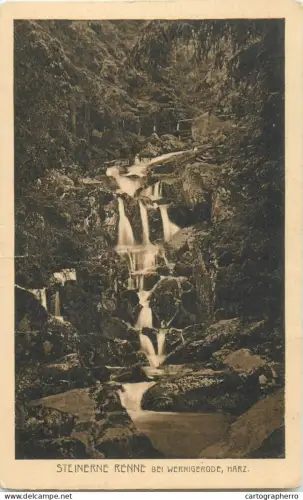 A5339 Germany Steinerne Renne bei Wernigerode Harz