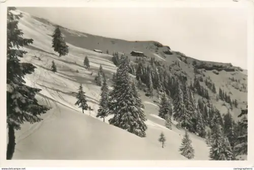 A5344 Germany Oberstaufen bayr Allgau Hochgrat Abfahrt