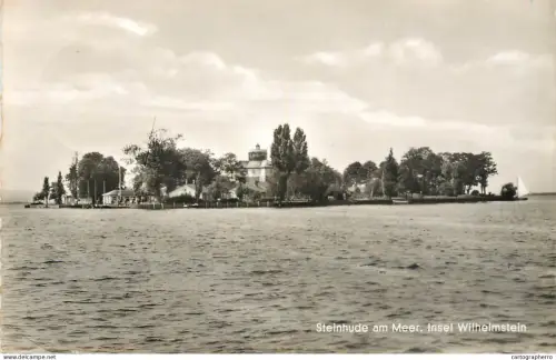 A5344 Germany Steihunde am Meer Insel Wilhemstein