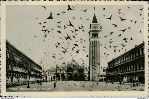 A5873 Italy Venezia (Venice) piazza S. Marco e piccioni