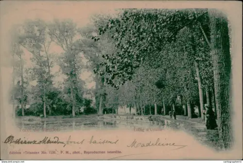 A5875 Foret de Meudon etang d`Ursine