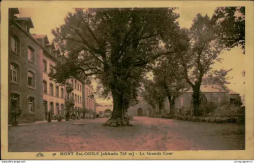 A5876 Mont Sainte-Odile