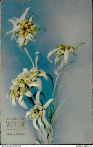 A5920 Edelweiss Namenstag AK