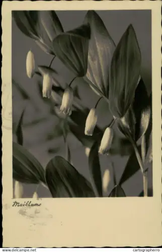 A5920 Maiblume AK 1934