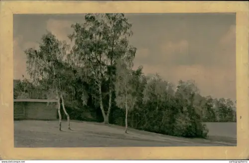 A5920 Landscape with trees postcard