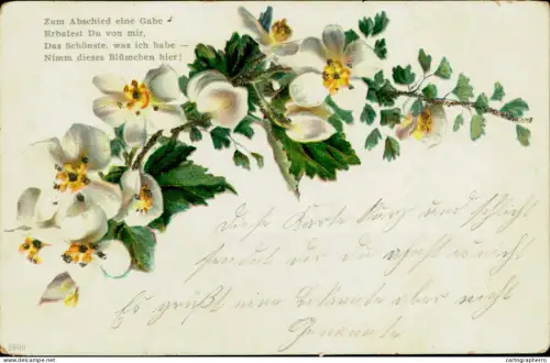 A5920 Vintage greetings postcard blossom flowers Zum Abschied eine Gabe