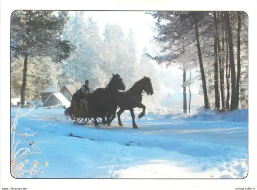 A5374 Horse-drawn sledge rural scenery winter time
