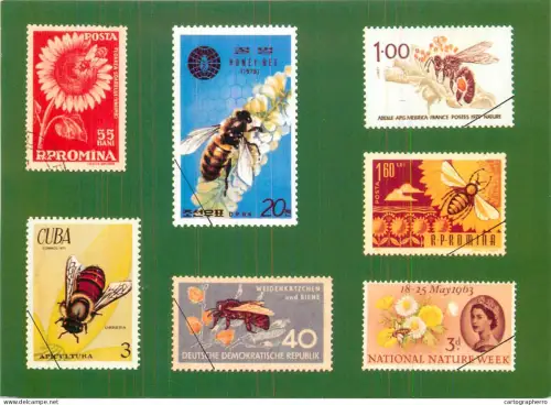 A5374 Stamp collection postcard