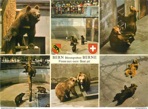 A5373 Switzerland Bern bear pit multi view