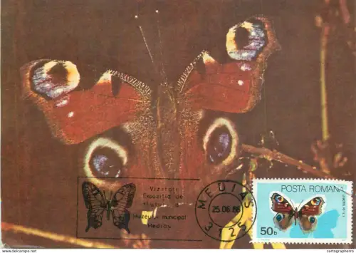 A5373 Vanessa io Ochi de paun de zi butterfly