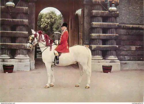 A5373 Tuck's Postcard Royal outrider in scarlet livery