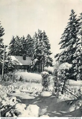 A5372 Belgium rural area winter scenery